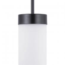 Progress P500151-031 - Elevate Collection One-Light Mini-Pendant