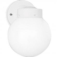 Progress P5604-30 - One-Light 6" Glass Globe Outdoor Wall Lantern
