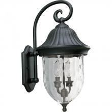 Progress P5829-31 - Coventry Collection Two-Light Wall Lantern