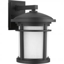 Progress P6085-3130K9 - Wish Collection One-Light Medium LED Wall Lantern