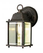 Trans Globe 40455 SWI - Patrician 1-Light, Ring Top ,Clear Glass Open Base Square Wall Lantern