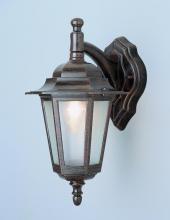 Trans Globe 4056 RT - Alexander Outdoor 1-Light Frosted Glass and Metal Coach Wall Lantern