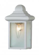 Trans Globe 44835 WH - Vista 1-Light,Clear Glass Sides with Metal Pagoda Top, Pocket Wall Lantern