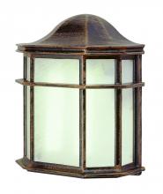 Trans Globe 4484 RT - Andrews 1-Light Frosted Glass, Flush Mount Outdoor Pocket Lantern