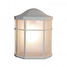 Trans Globe 4484 WH - Andrews 1-Light Frosted Glass, Flush Mount Outdoor Pocket Lantern