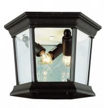 Trans Globe 4904 SWI - San Marcos 3-Light Hexagon Glass and Metal, Flush Mount Outdoor Ceiling Lantern Light