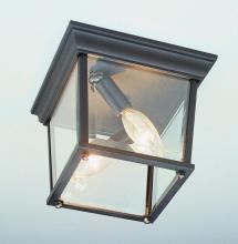 Trans Globe 4905 RT - Ansel Collection Square 2-Light Simple Outdoor Flush Mount Ceiling Lantern Light