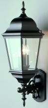 Trans Globe 51000 SWI - Classical Collection, Traditional Metal and Beveled Glass, Armed Wall Lantern Light
