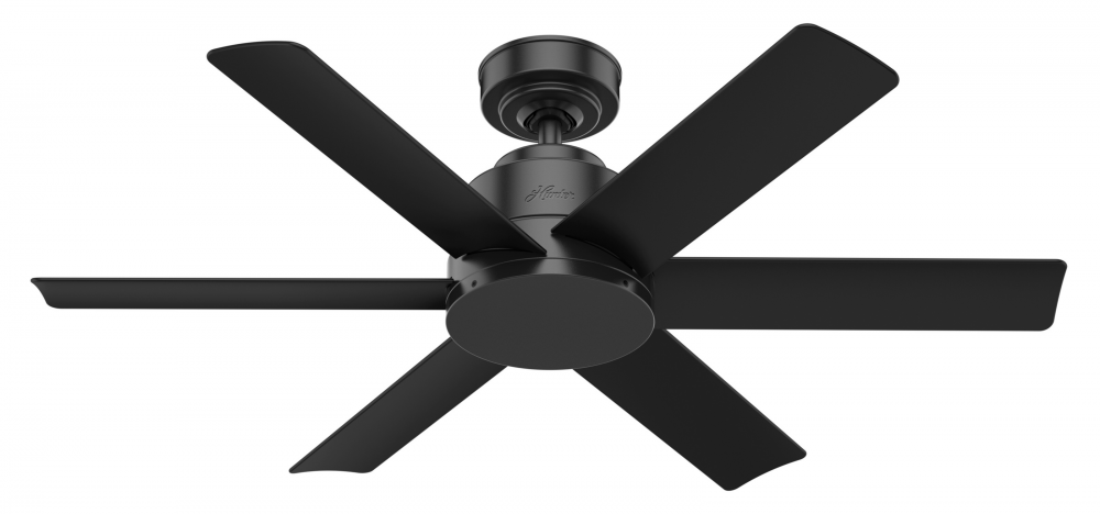 Hunter 44 inch Kennicott Matte Black Damp Rated Ceiling Fan and Wall Control