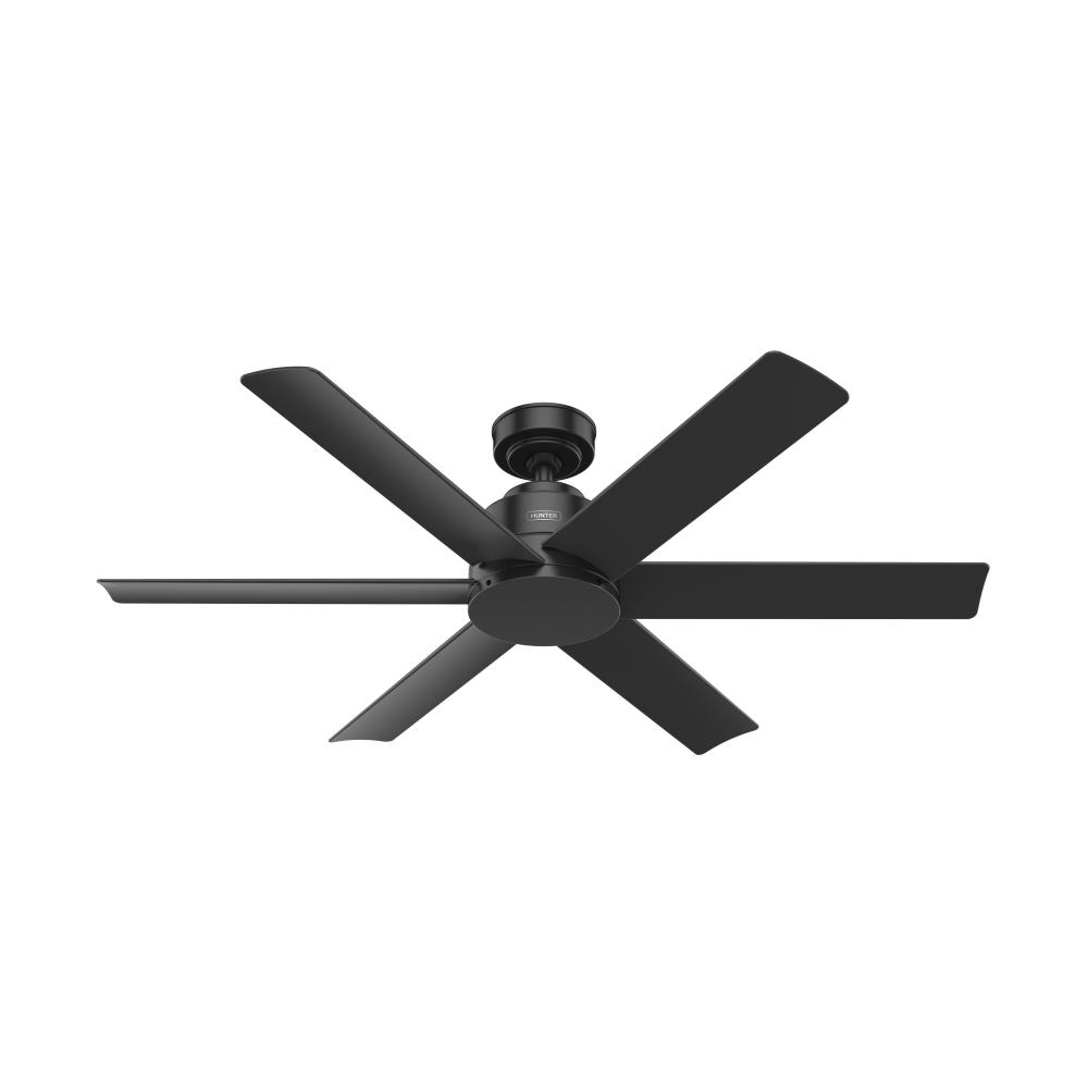 Hunter 52 inch Kennicott Matte Black Damp Rated Ceiling Fan and Wall Control