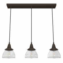 Hunter 19142 - Hunter Cypress Grove Onyx Bengal with Clear Holophane Glass 3 Light Pendant Cluster Ceiling Light Fi