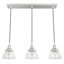 Hunter 19282 - Hunter Cypress Grove Brushed Nickel with Clear Holophane Glass 3 Light Pendant Cluster Ceiling Light