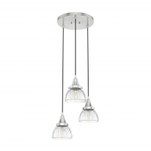 Hunter 19325 - Hunter Cypress Grove Brushed Nickel with Clear Holophane Glass 3 Light Pendant Cluster Ceiling Light