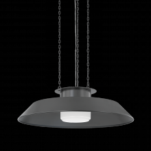 Hudson Valley 8832-DB - Woodrow Pendant