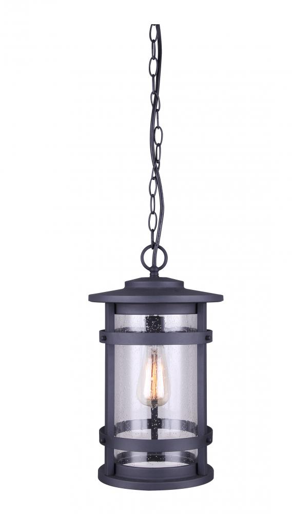 DUFFY, 1 Lt Chain Pendant Outdoor, Seeded Glass, 100W Type A, 9 1/2" W x 16 1/8" H