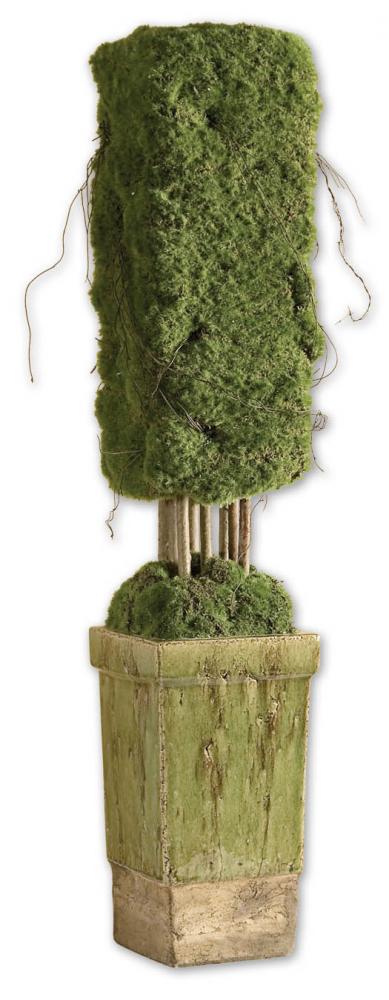 Moss Topiary