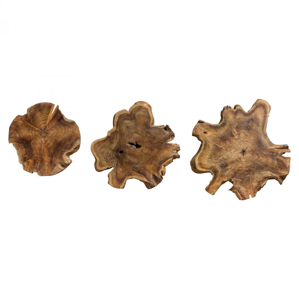 Kalani Teak Wall Art Set/3