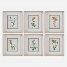 Uttermost 32284 - Uttermost Classic Botanicals Framed Prints Set/6